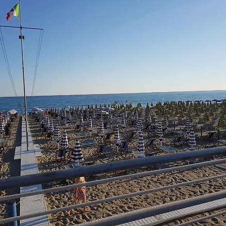 Vivi La Versilia E Le 5 Terre